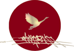 Osho Silence Valley Logo